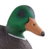 Duck Decoys, Realistic Floating Duck Decoys, Weight Forward Swim, Plastic Duck Hunting Decoy Outdoor for Hunting, for Pool, Pond, and Lake