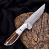 Heorot | Outdoor Camping Knife | Clad Damascus Blade | Stag Handle